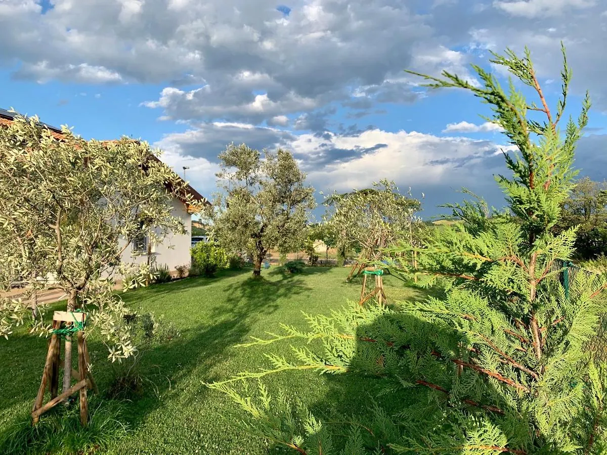 B&B La Casa Del Sole Sala Baganza Bed & Breakfast